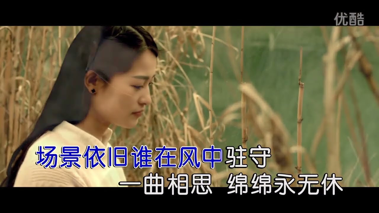 安东阳【飘雨的秋】原版MV~KTV字幕