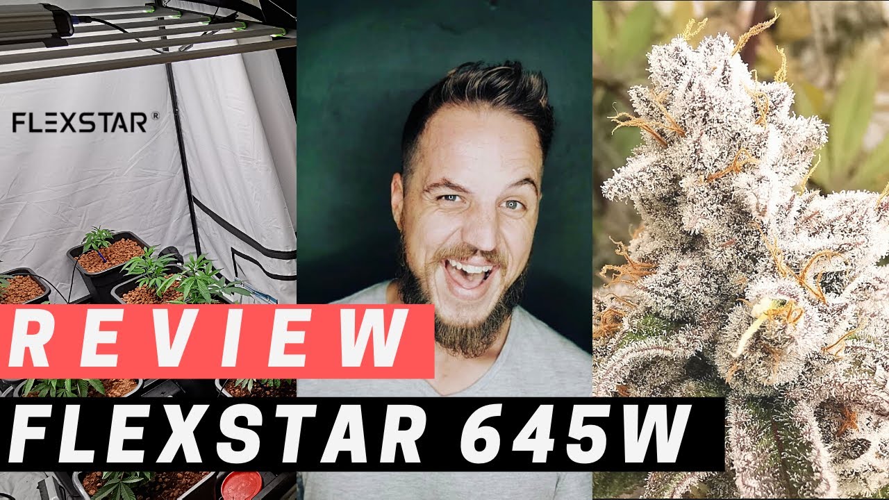 *FLEXSTAR REVIEW* 645W FULL SPECTRUM LED / Chinese Cannabis Growing Light Test - Savage Reviews