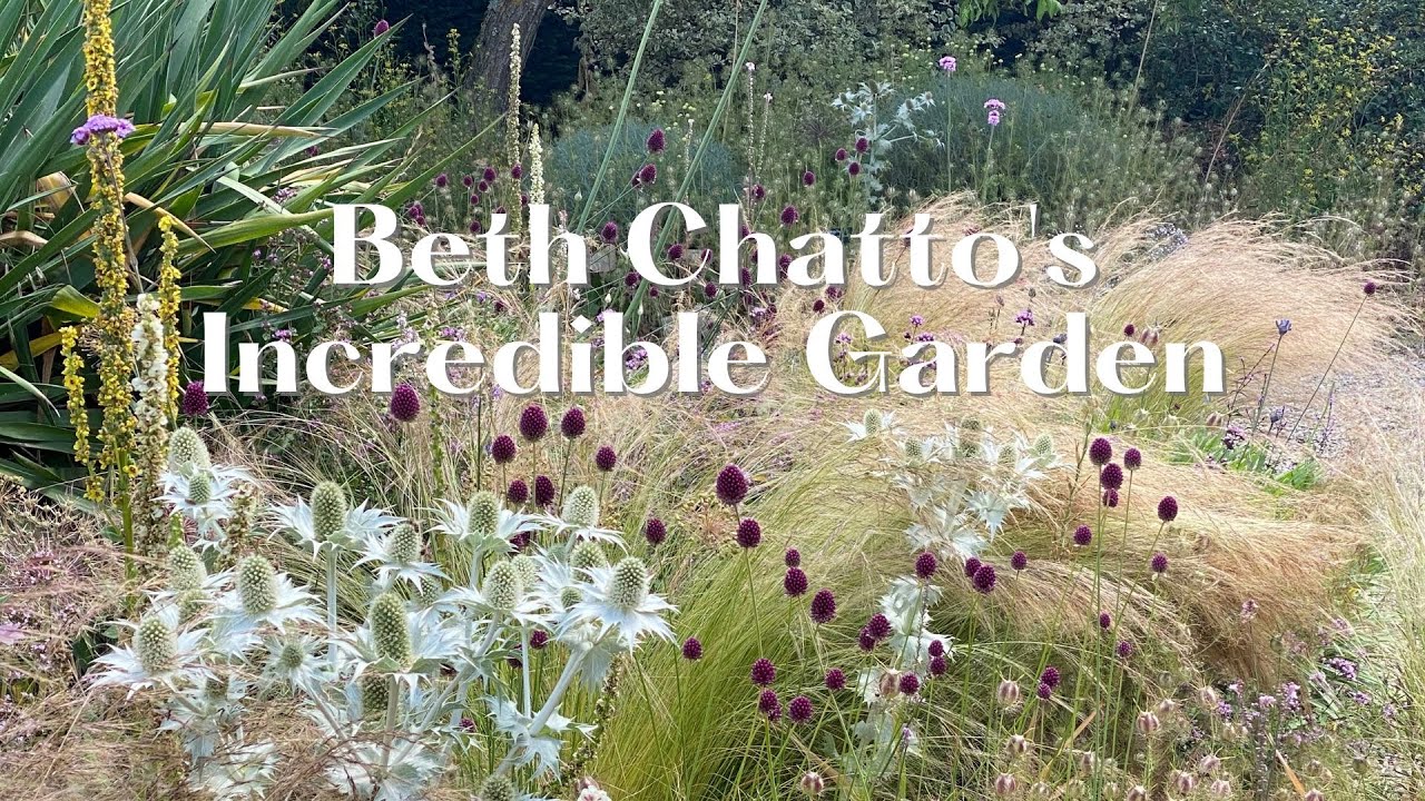 Знаменитый гравийный сад Beth Chatto | Beth Chatto's gravel garden
