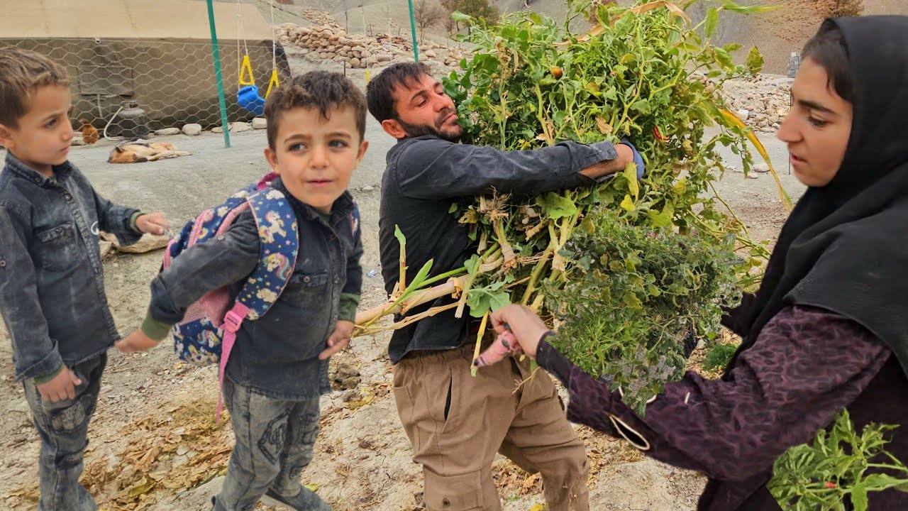 Clearing the Garden, Caring for Family | A New Day in Saladin’s Nomadic Life 🌾🐑”
