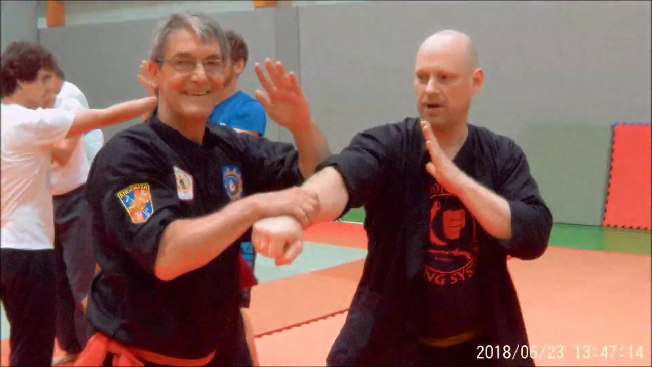 Silat Seminar with Master Joko Suseno 2018 at Kempokan Heidelberg, Germany