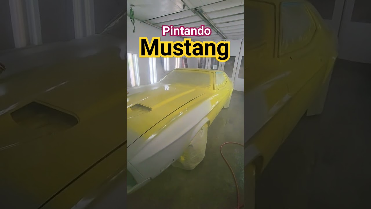 asi ganamos los dolares en nestados unidos!! pintando  carro!! 