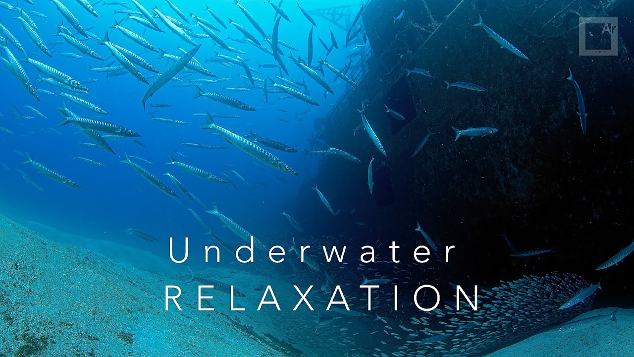 Relaxing music / stress relief - underwater Atlantic wrecks and fish schools