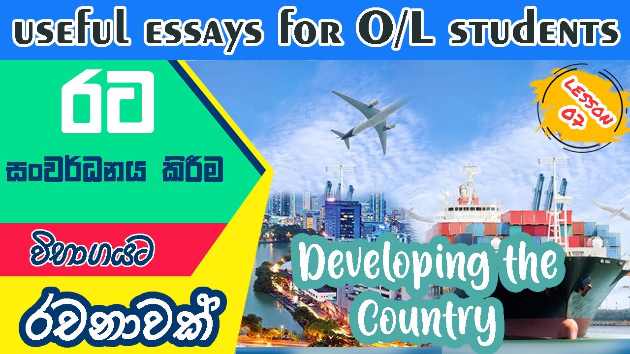 Developing The Country | Let's write a Perfect essay