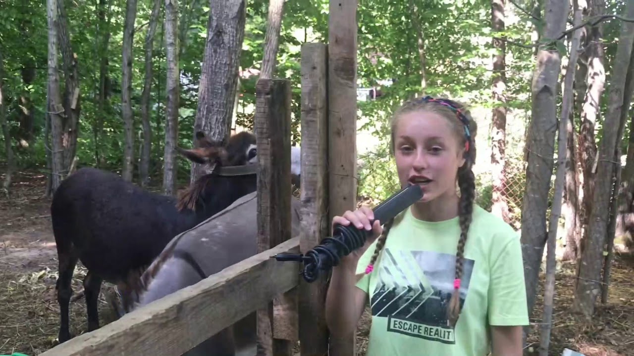 Екскурсія табором  Your Camp