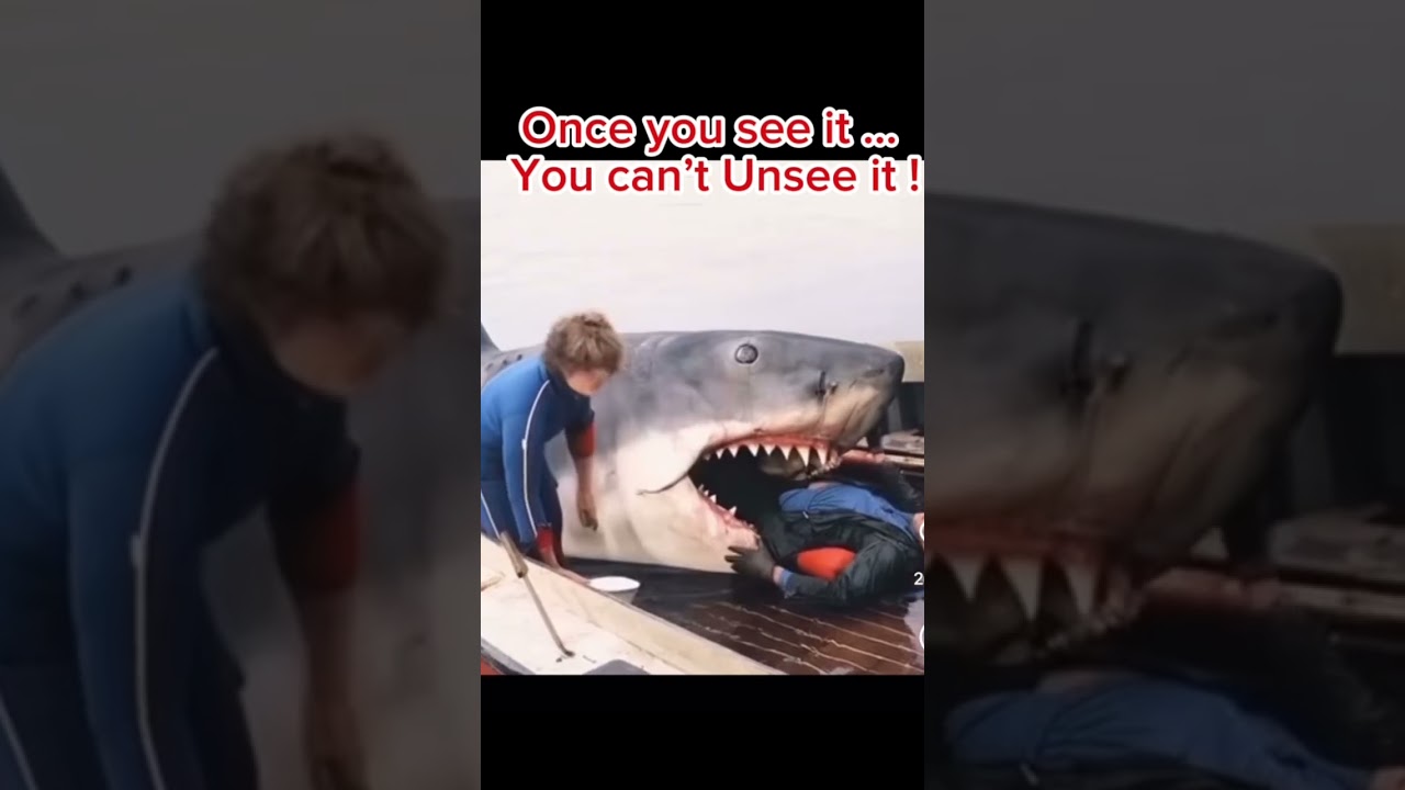 #jaws #film #movie #shark #trending #trend #shortsvideo #shorts #viralshorts #50thanniversary