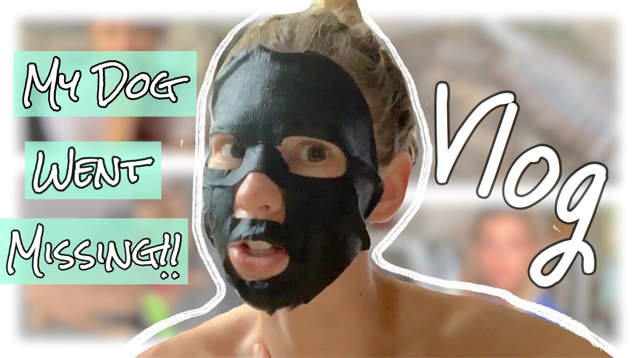 VLOG | My Dog Went Missing | FaceMask Debate | Small YouTuber