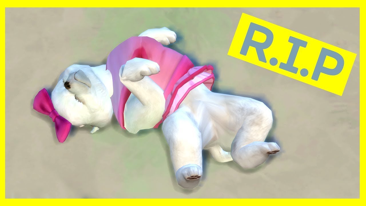 RIP Cuteness Overload! - Let's Play The Sims 4 Cats and Dogs - Part 2