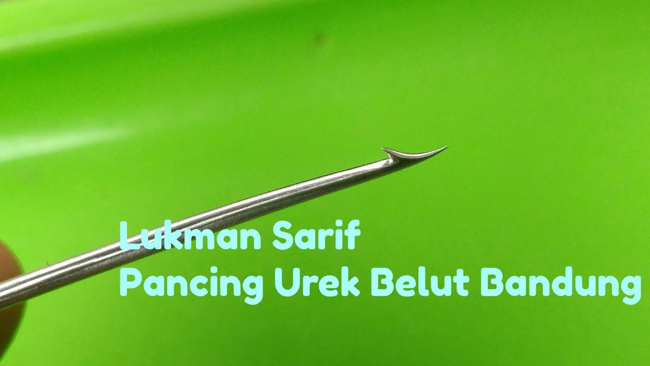 CARA MEMBUAT RUHIT PANCING BELUT, HANYA 16MENIT ANDA BISA
