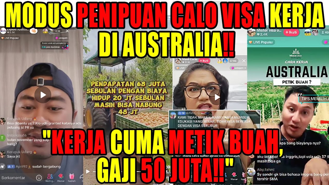 MODUS PENIPUAN TERBARU PMI‼️ CALO VISA RAMAI BERAKSI DI LIVE TIK TOK‼️