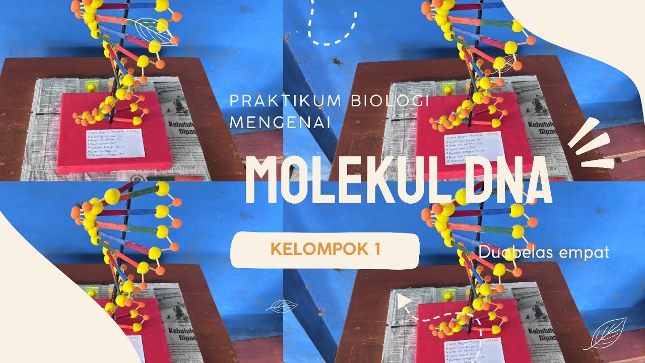 🌈 PRAKTIKUM BIOLOGI• MEMBUAT MODEL MOLEKUL DNA•• KELOMPOK 1|| XII 4🌈🖌️🎨✨