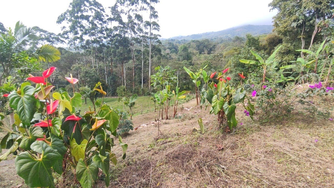 Finca de 2.5 fanegadas 16800 M2 en Pradilla, Mesitas del Colegio, Cund, excelente vista y ubicación.