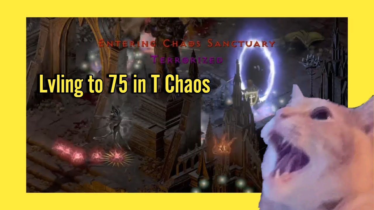 Terrorized Chaos go Brrrrrrr D2R