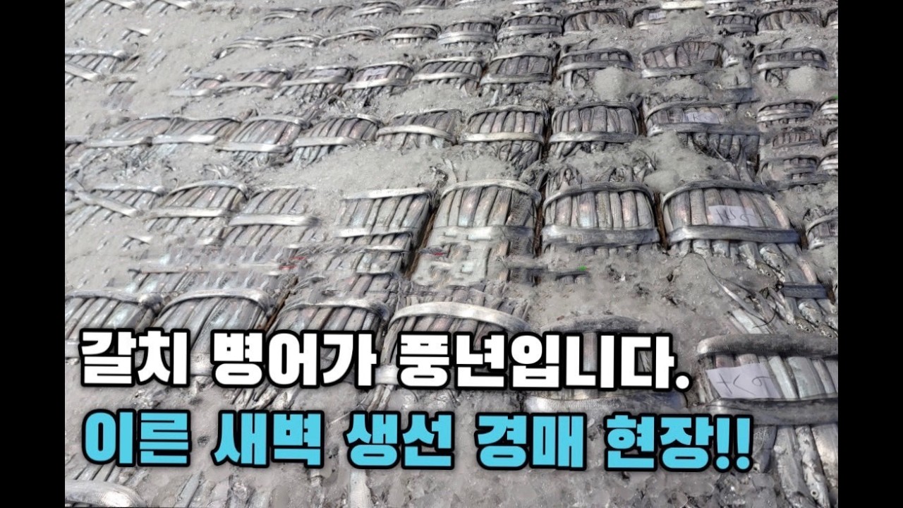 3월25일(수) 목포수협 위판장 경매현황 및 매입 생선