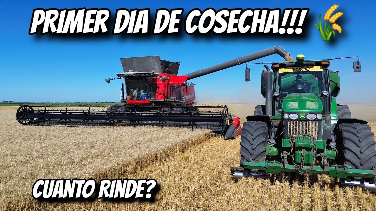 PRIMER DIA de COSECHA de TRIGO con la MASSEY 9795 y la JOHN DEERE 1450!!! IMPRESIONANTE