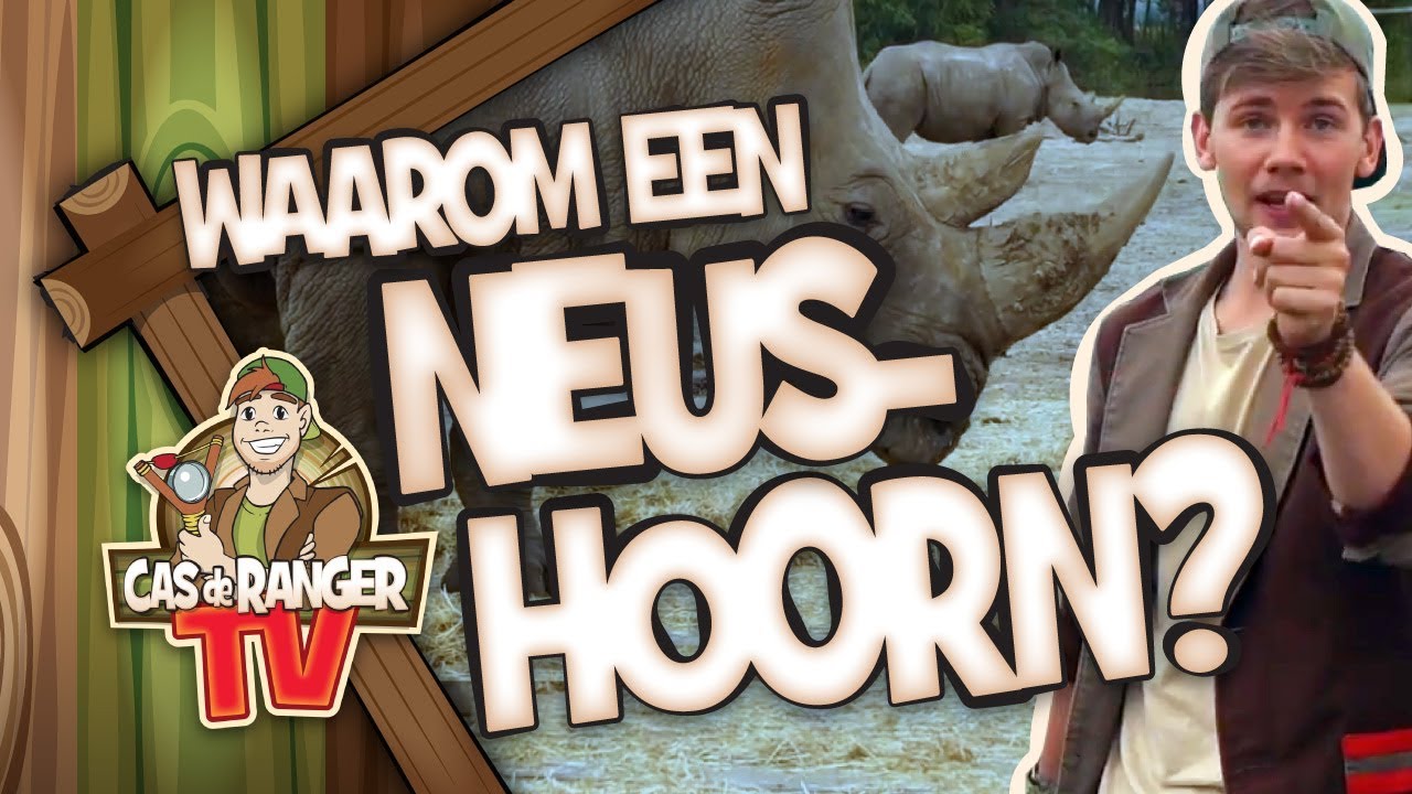 WAAROM HEBBEN NEUSHOORNS EEN HOORN OP HUN NEUS? Cas de Ranger TV #34 - Julianatoren