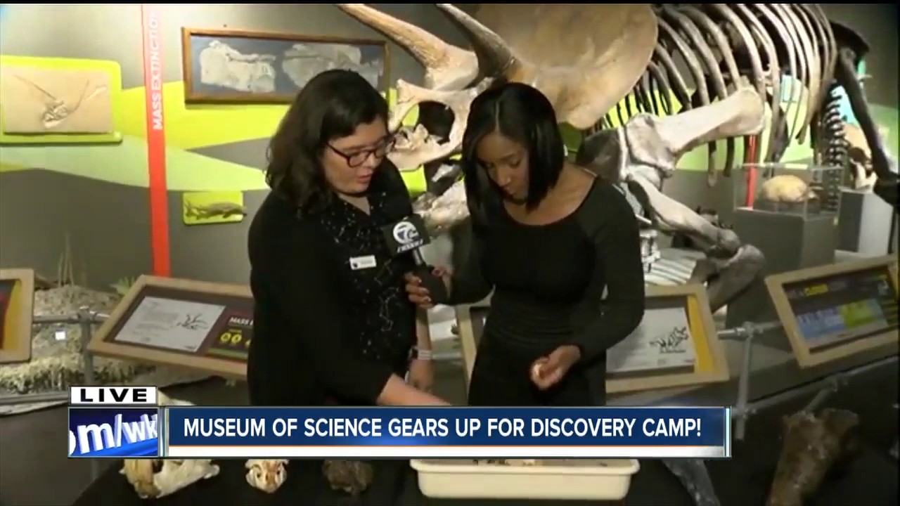 Museum of Science rolls out Discovery Camps for kids