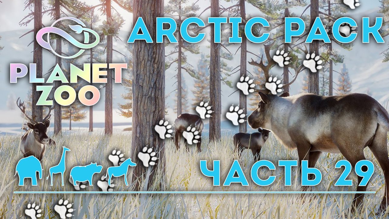 PLANET ZOO ► прохождение ► #29 (ARCTIC PACK. АРКТИЧЕСКОЕ ДОПОЛНЕНИЕ)