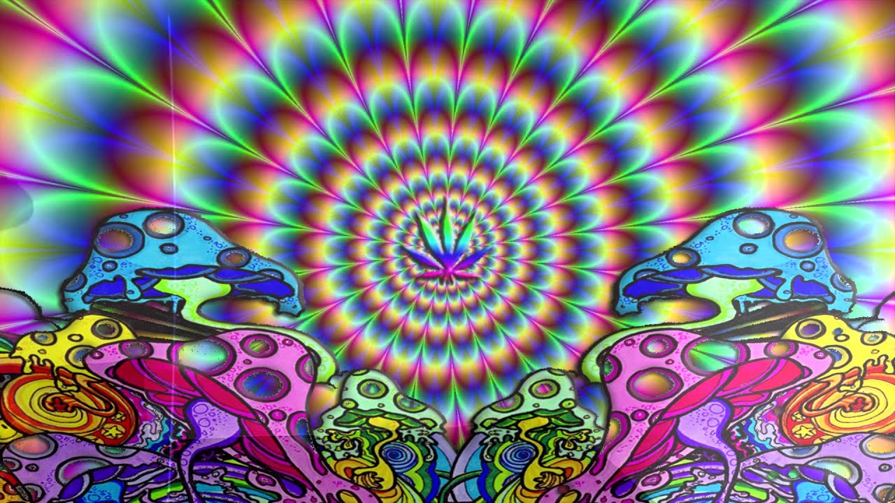 Wir Presentieren - F&uuml;ssedelisch