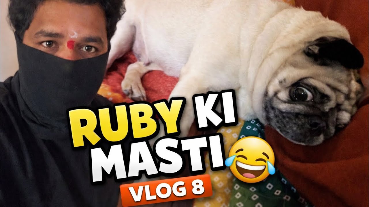 Ruby ki Masti 🐶 | Funny Day at Home | Vlog 8 | Sahil Barve