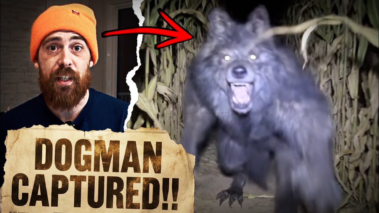 This New Dogman Footage is Disturbing...
