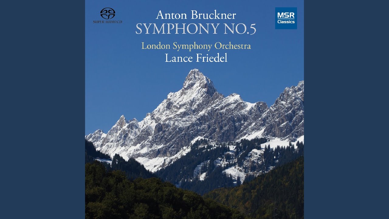 Symphony No. 5 in B-Flat Major, WAB 105: II. Adagio - Sehr langsam