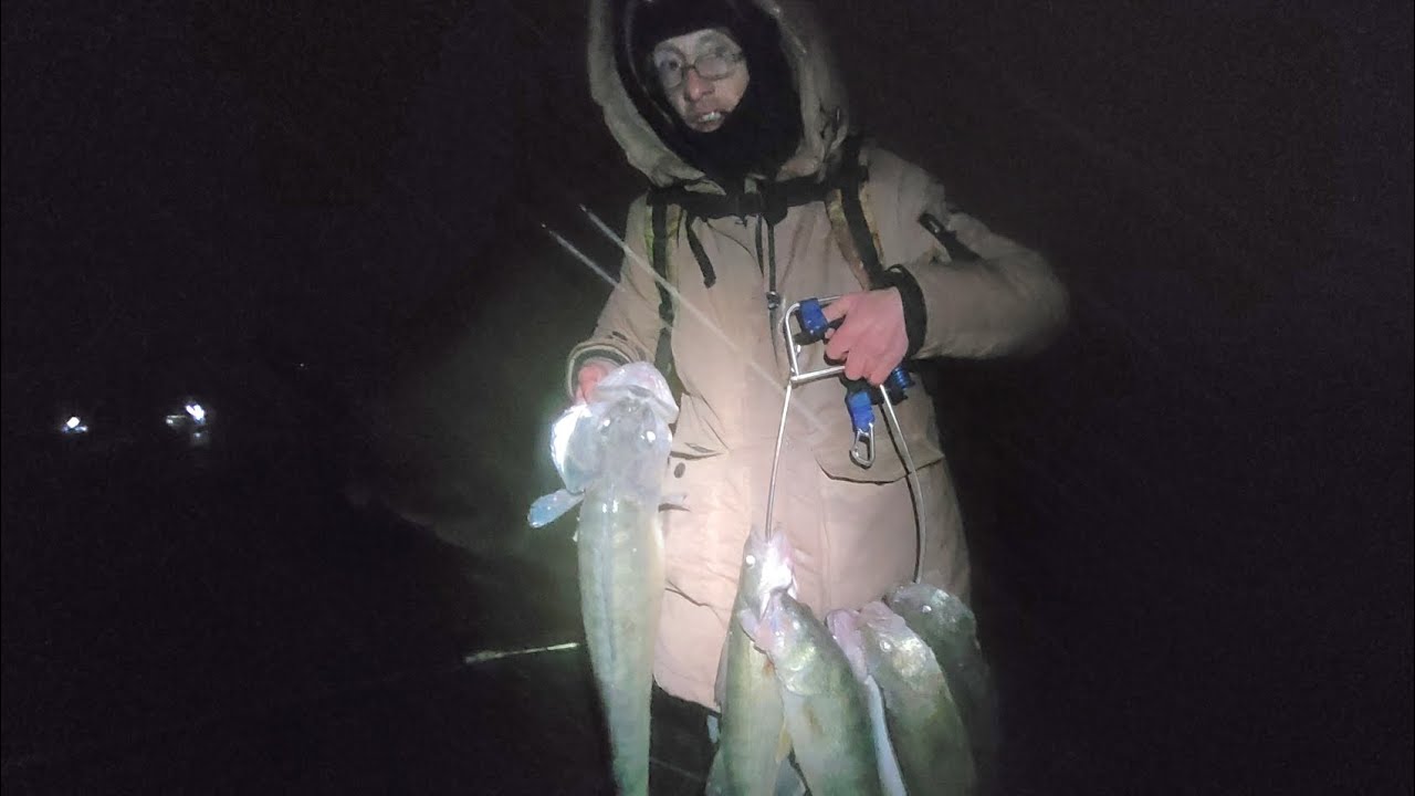 Lake Erie Fall Brawl And Walleye Slam Day 11