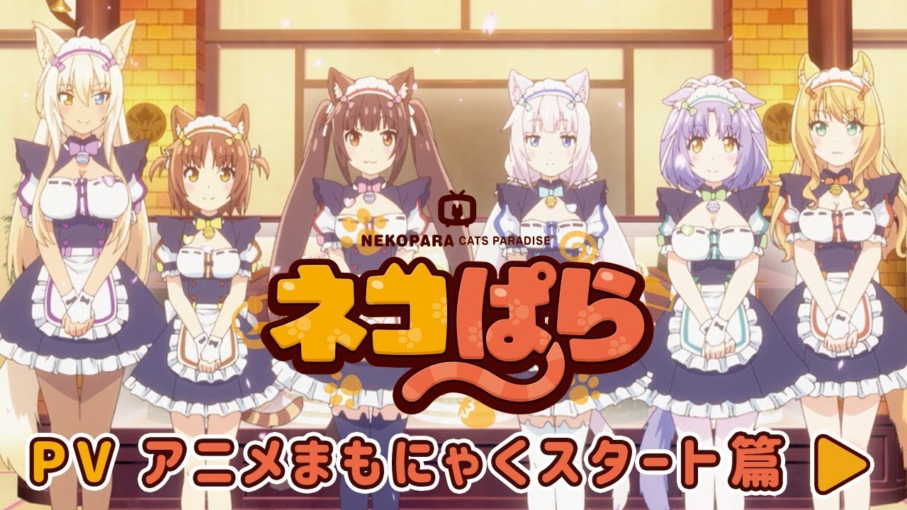 ネコぱら PV ”アニメまもにゃくスタート篇”