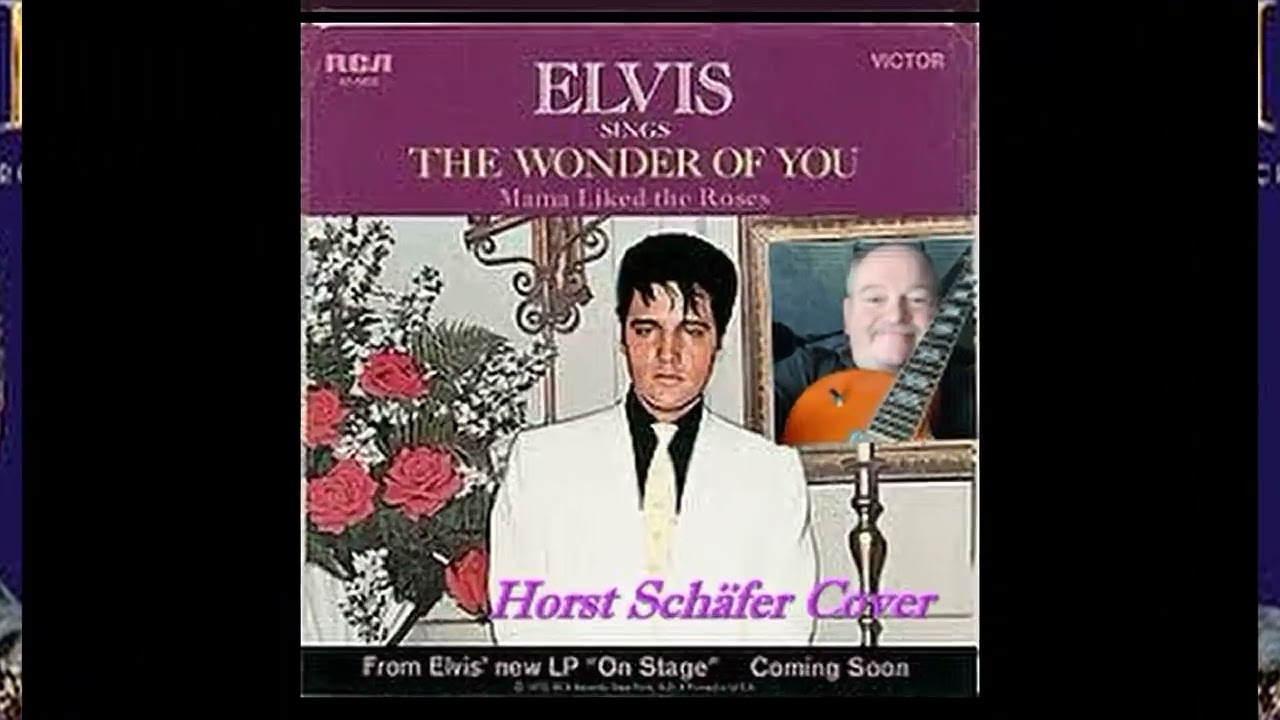 The Wonder of you      Horst Schäfer