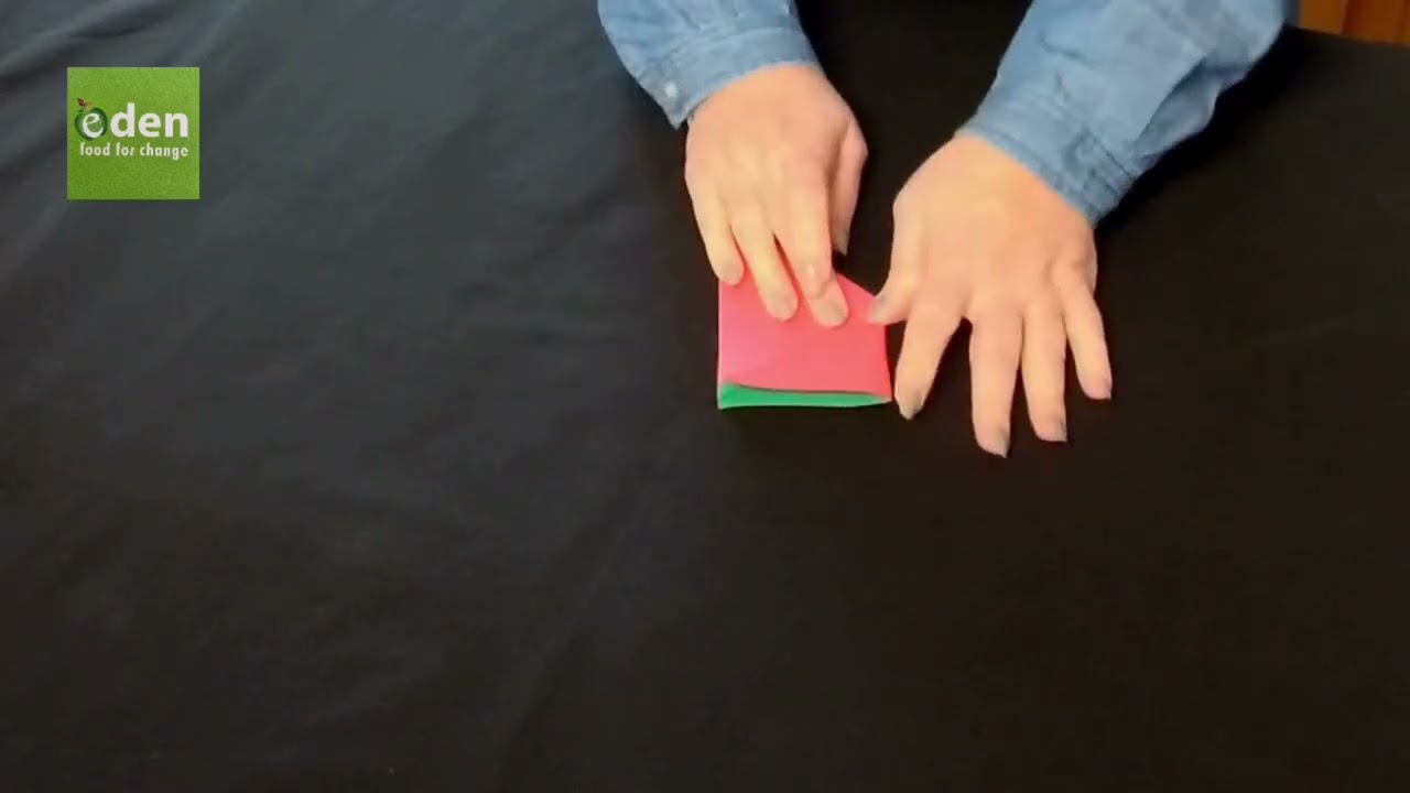 Origami Strawberry_ Advanced