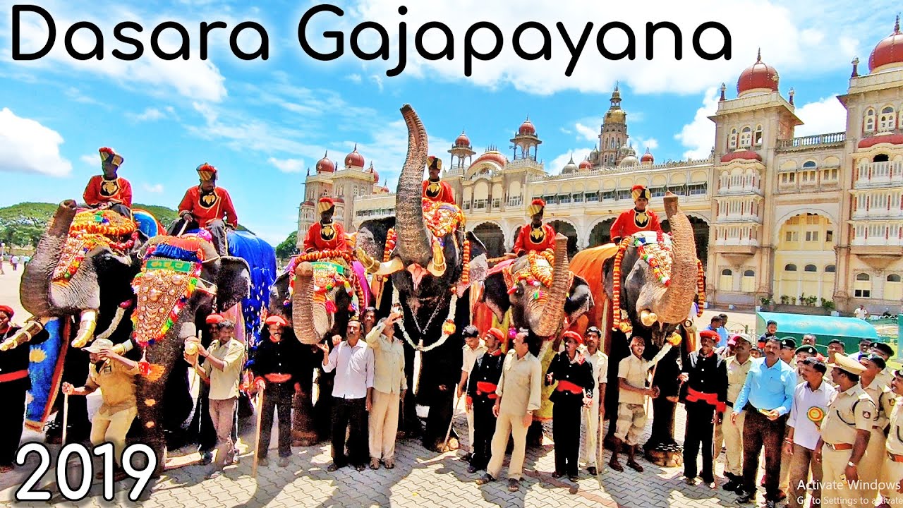 Arjuna Elephant @ Mysore Dasara Gajapayana Royal Reception For Jumbos Mysore Karnataka tourism