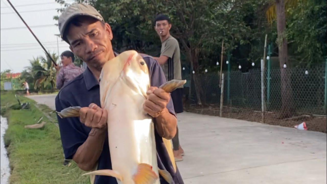 Đưa thầy lỏ đi chinh phục những con hugo lớn nhất việt nam