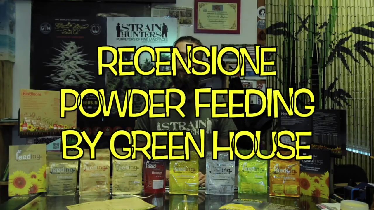 RECENSIONE GREEN HOUSE POWDER FEEDING