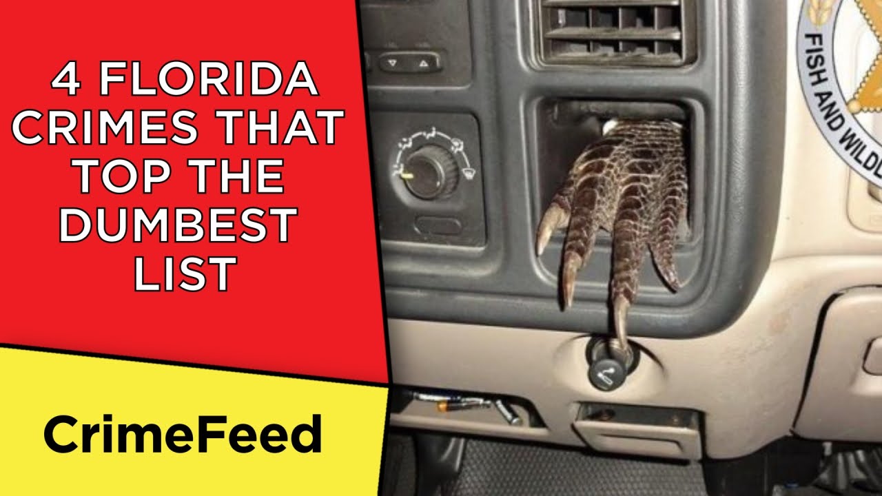 Top 4 Dumbest Crimes in Florida