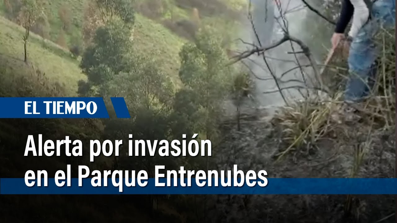 Hay alerta por nueva invasión en el parque ecológico Entrenubes | El Tiempo