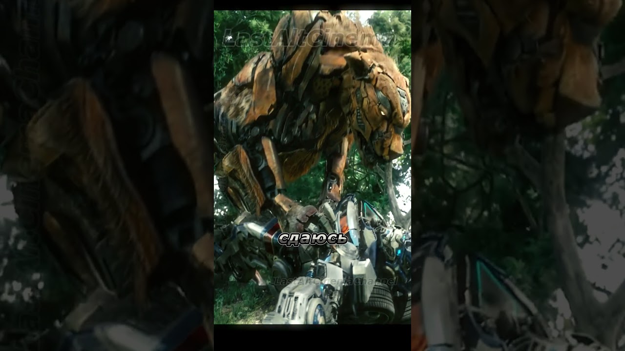 Transformers🤩 Optimus Prime vs Optimus Primal. Звероботы 