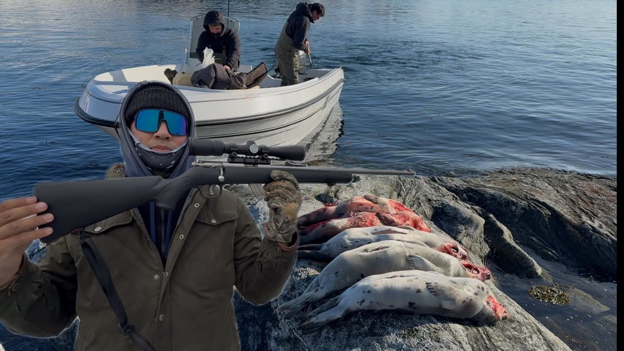 Seal Hunting | May Seals