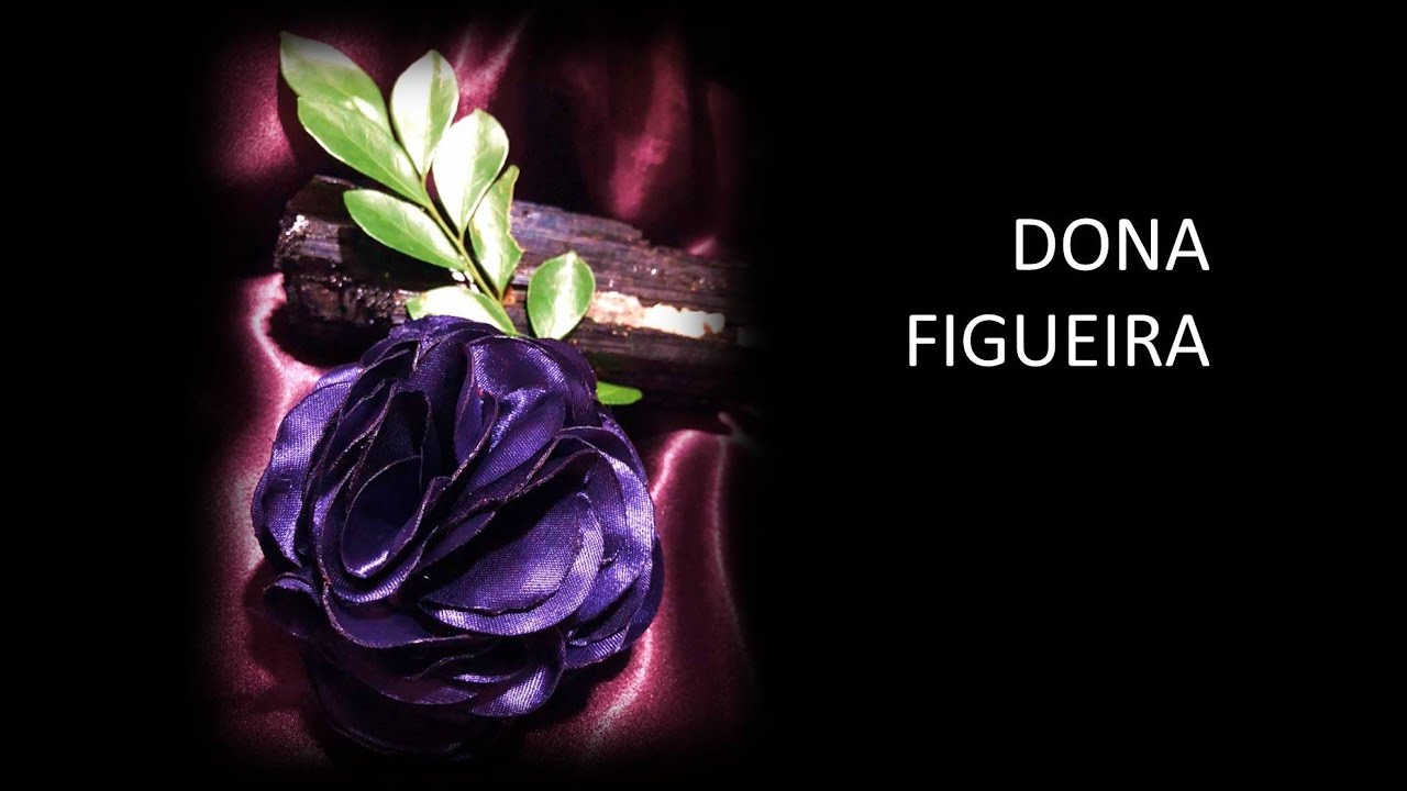 A História de Dona Figueira