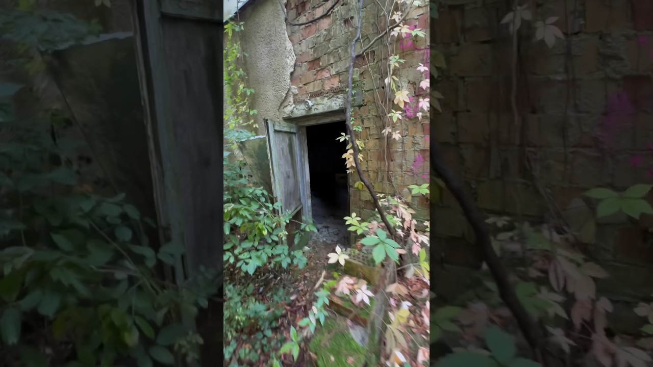 Verlassenes Ferienlager #lostplace #urbex #abandoned #abandonedplaces ##ddr  #rottenplaces #decay