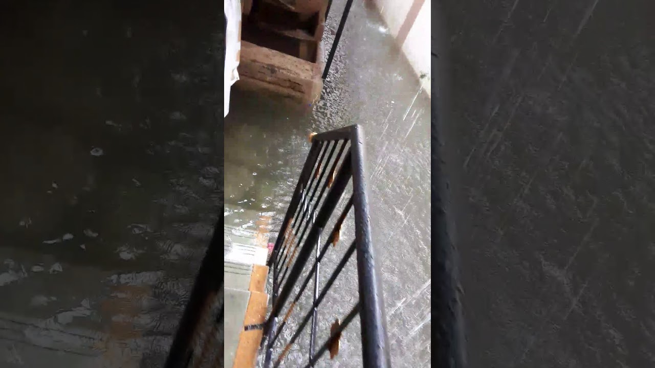 Flooded due to the negligence of BMC