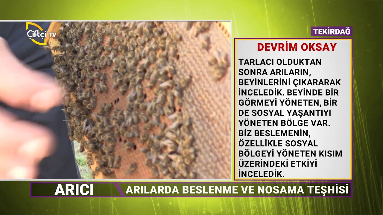 Arıcı - Arılarda Beslenme Ve Nosama Teşhisi  İle İlgili Genel Bilgiler.