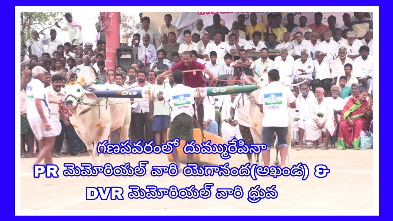 గణపవరం సీనియర్ విభాగంలో DVR మెమోరియల్ వారి ధ్రువ & PR మెమోరియల్ వారి యెగానంద(అఖండ)🏆2వ బహుమతి -2750ft