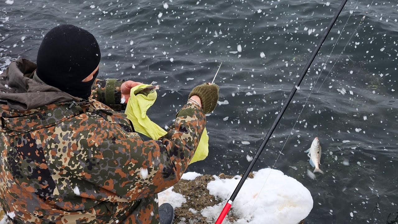 ОХОТА НА КОРАЛЛОВЫХ РЫБ С БЕРЕГА ВО ВРЕМЯ СИЛЬНОГО СНЕГОПАДА.