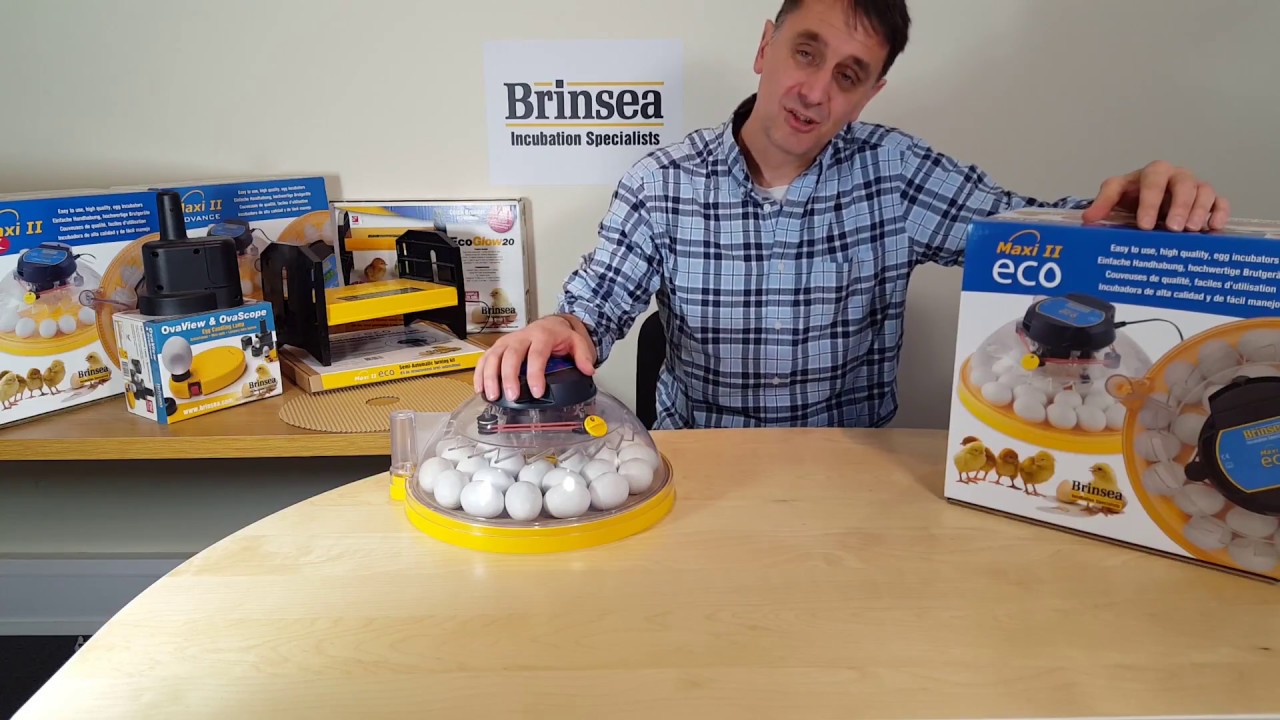 Brinsea Maxi II Eco Egg Incubator and Hatcher