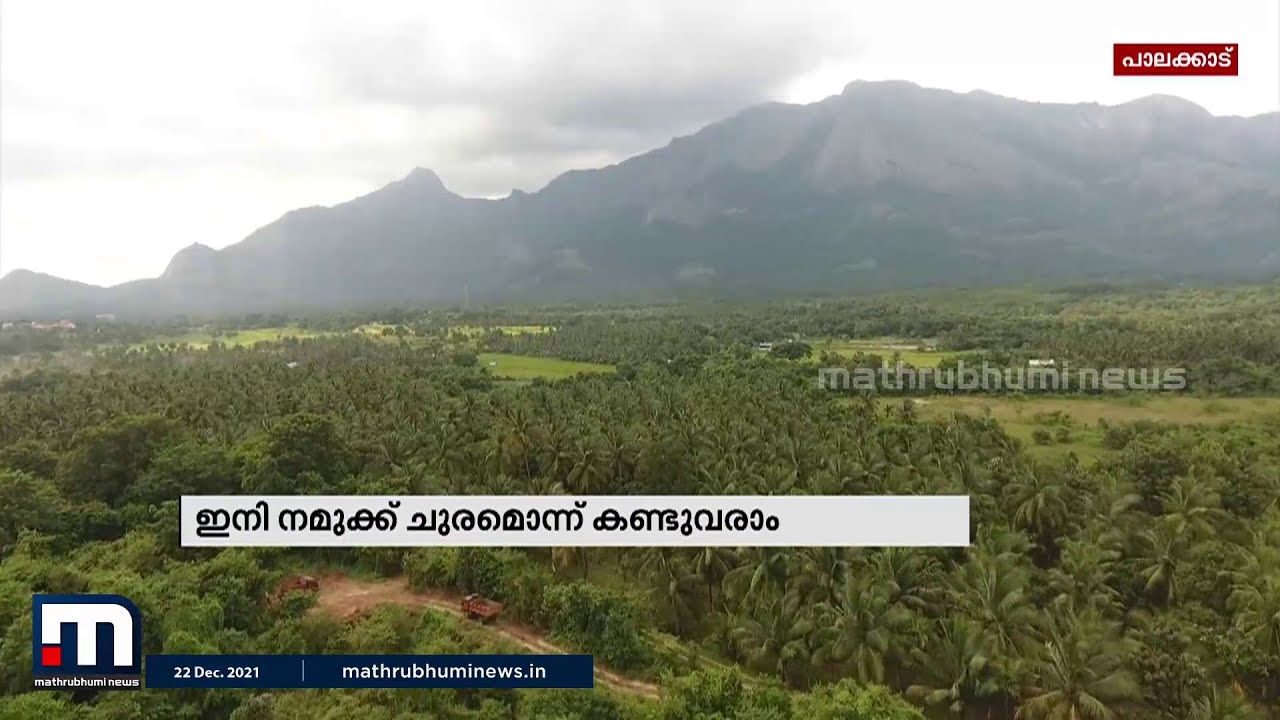 പ്രകൃതിദത്തമായ പാലക്കാട് ചുരത്തിന്റെ കാഴ്ചകൾ ഒപ്പിയെടുത്ത് ഒരു യാത്ര| Mathrubhumi News