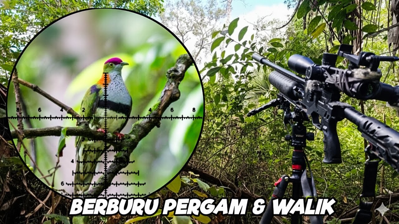 BERBURU PERGAM & WALIK DI SPOT PINGGIRAN SUNGAI
