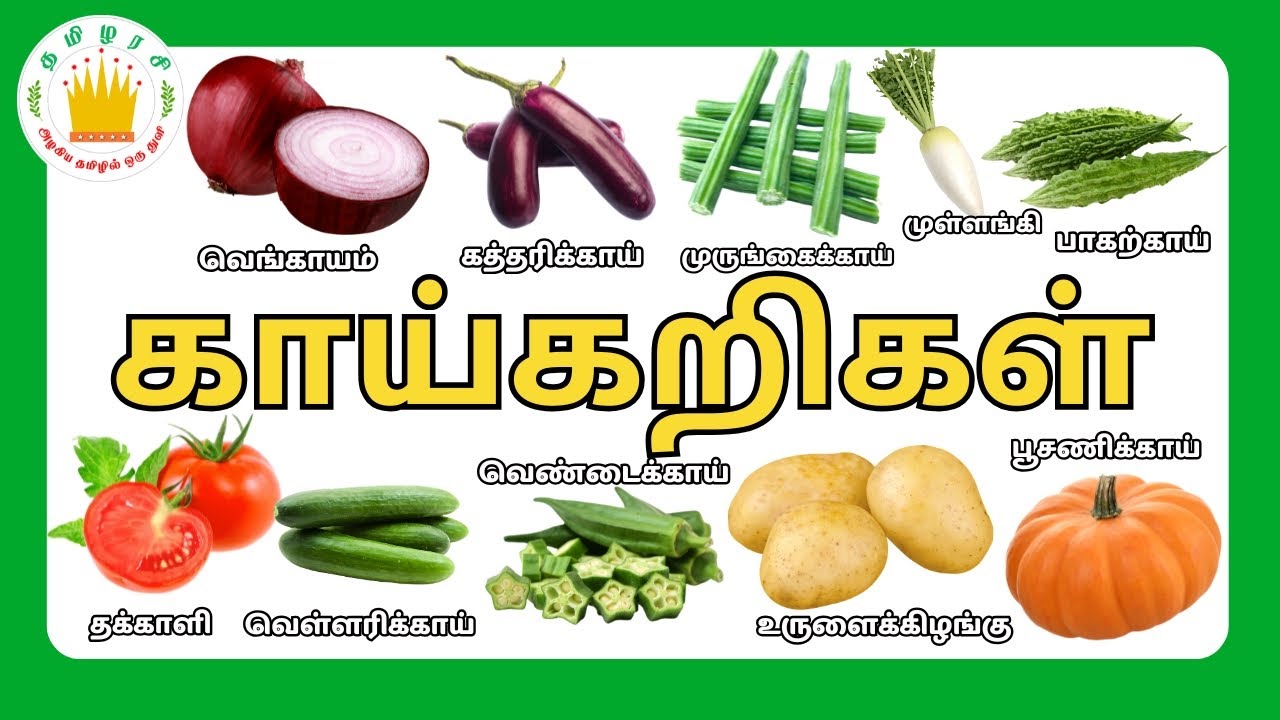 காய்கறிகளின் பெயர்கள்🥕🍅🥦- Learn Vegetable Names  in Tamil for Kids | Tamilarasi
