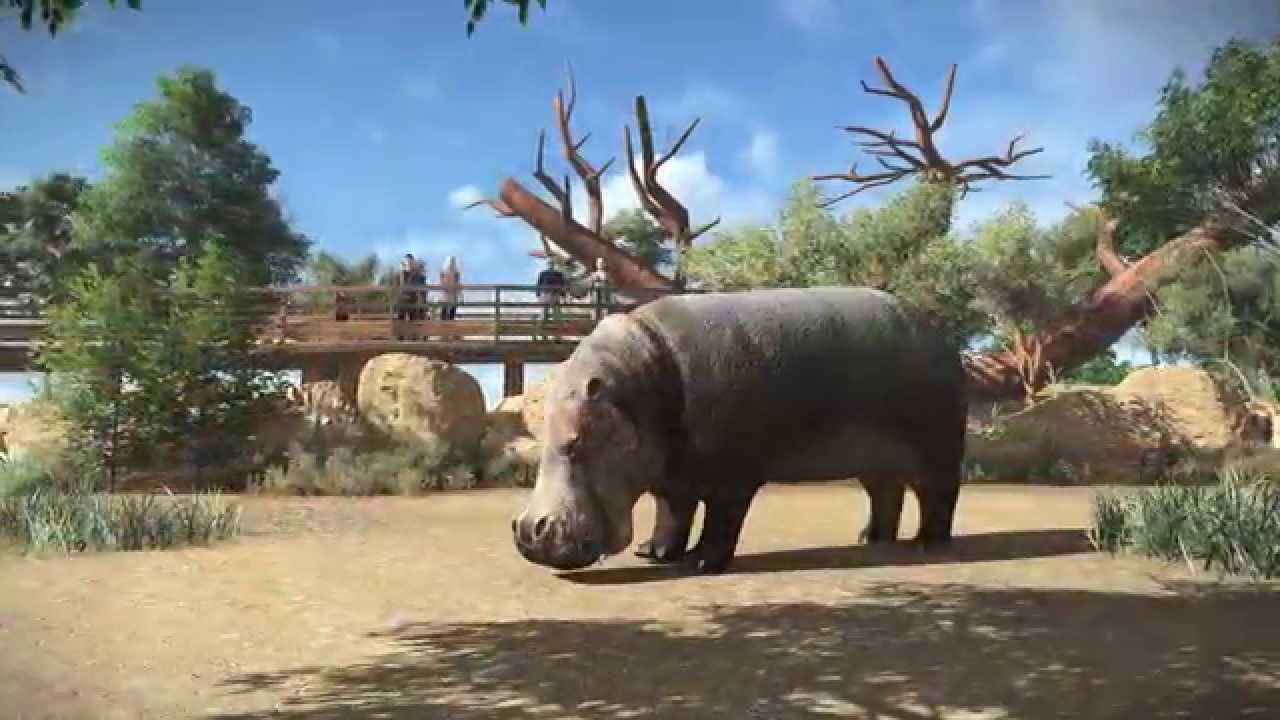 Nouveauté 2016 : les hippopotames