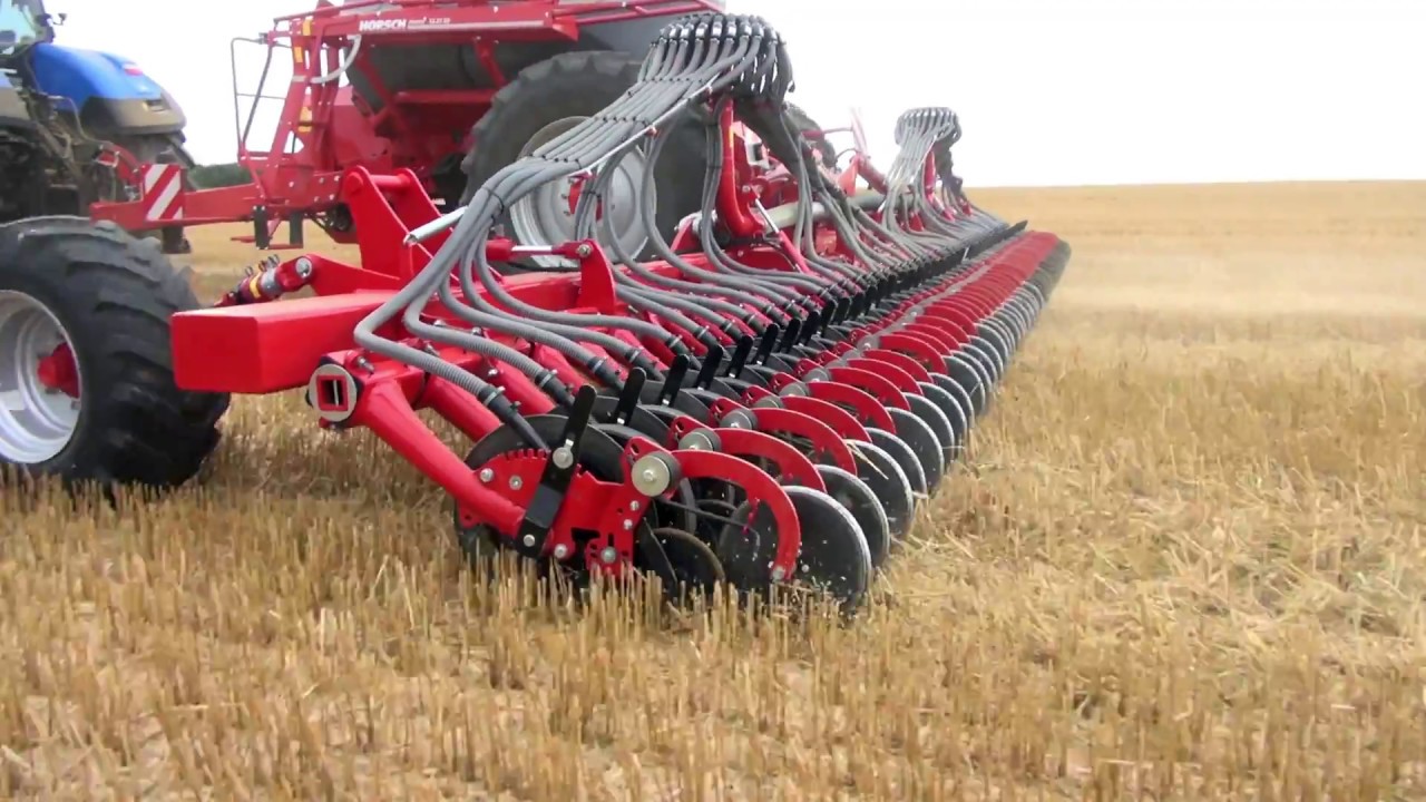 Avatar 12 25 SD