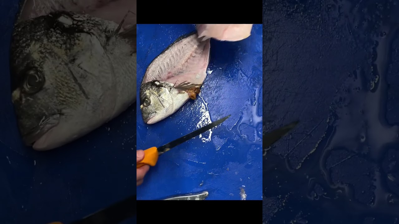 Quick & Easy Way To Scale & Fillet  Gilthead Bream